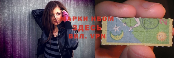 PSILOCYBIN Белокуриха