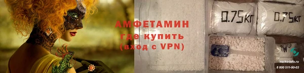 шишки Балахна