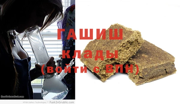 PSILOCYBIN Белокуриха