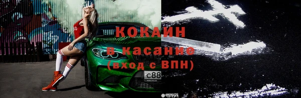 PSILOCYBIN Белокуриха