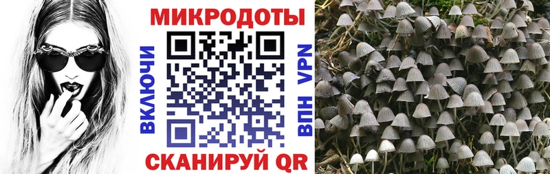 гидра   Волчанск  Галлюциногенные грибы Cubensis 